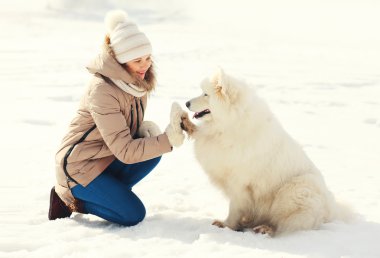 Kadın sahibi ve veren beyaz Samoyed köpek kış günde pençe