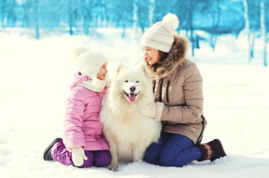 Anne ve çocuk ile beyaz Samoyed köpek birlikte wint karda üzerinde