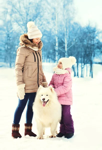 Moeder en kind met witte Samojeed hond wandelen in de winterdag — Stockfoto