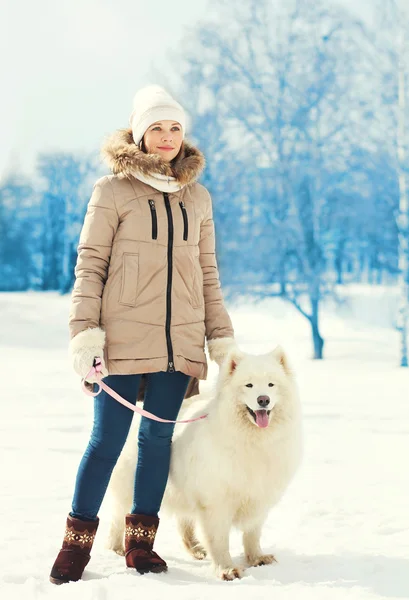 Nő tulajdonosa és fehér Szamojéd kutya pórázon par téli séta — Stock Fotó