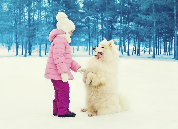 Barn leker med vita samojed hund på snö i vinterdag — Stockfoto