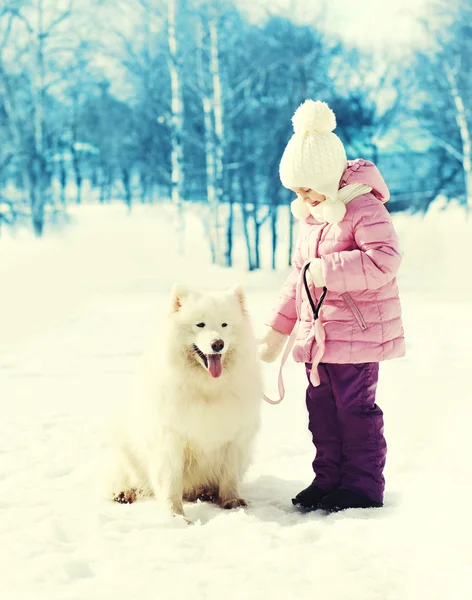 Kindje met witte Samojeed hond aan de leiband in winter park — Stockfoto