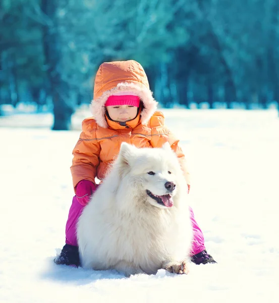 Παιδί και λευκό Samoyed σκύλου που βρίσκεται στο χιόνι στο μέρα του χειμώνα — Φωτογραφία Αρχείου