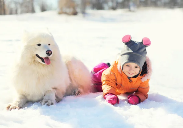 Child with white Samoyed dog lying on snow in winter day — Stock Photo, Image