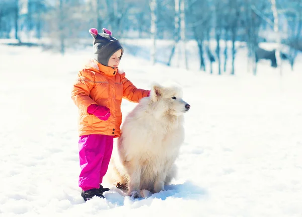 Barn med vita samojed hund på snow park vintertid — Stockfoto