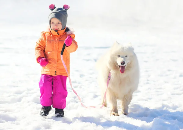 Lyckligt barn och vita samojed hund promenader tillsammans i vinterdag — Stockfoto