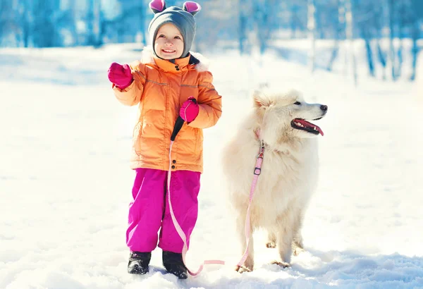 Happy smiling child and white Samoyed dog on leash walking winte — Stock Photo, Image