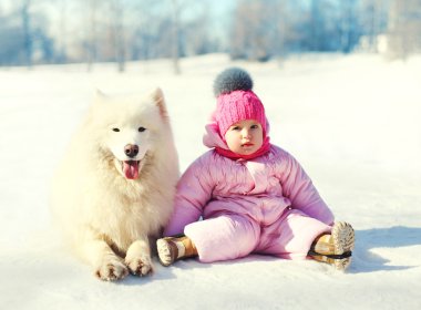 Çocuk ve oturan beyaz Samoyed köpek kış günü kar