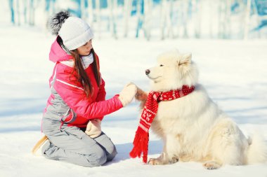 Beyaz Samoyed köpek pençe kadın sahibi kış günü içinde verir. 