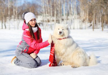 Kadın sahibi ve beyaz Samoyed köpek verir pençe kış günü