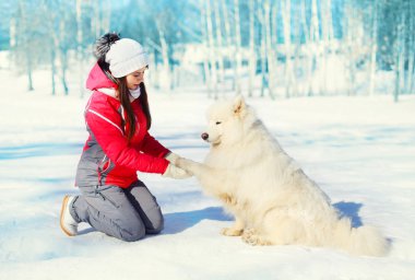 Kadın sahibi beyaz Samoyed köpek kış günde öğretir.