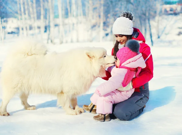 Mor och barn med vit samojed hund tillsammans på snö i wint — Stockfoto