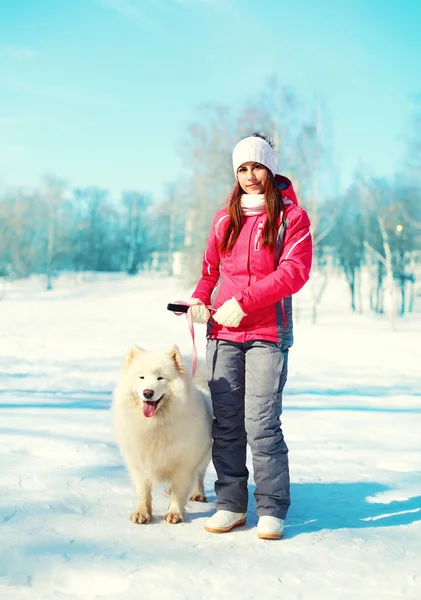 Kvinnan ägare och vit samojed hund på koppel promenader i vinter par — Stockfoto