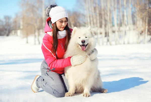 Mujer propietaria abrazando blanco perro Samoyedo en la nieve en el día de invierno —  Fotos de Stock