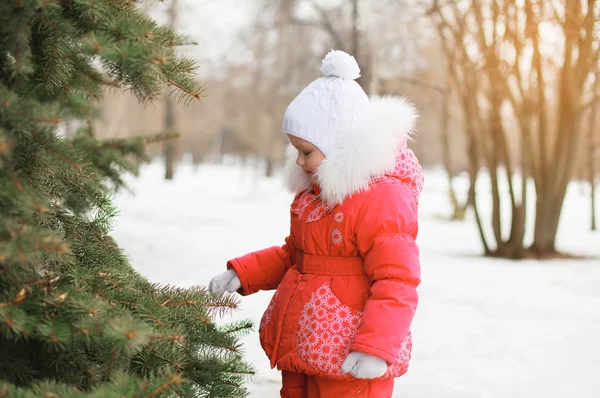Barn gå i snörik vinter nära julgran — Stockfoto