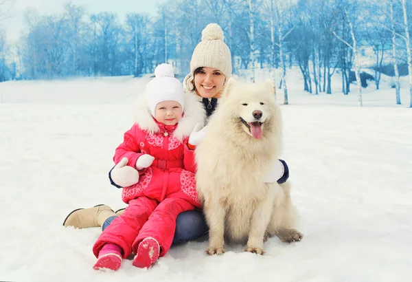 Mother and baby with white Samoyed dog together in winter day — Stock Photo, Image