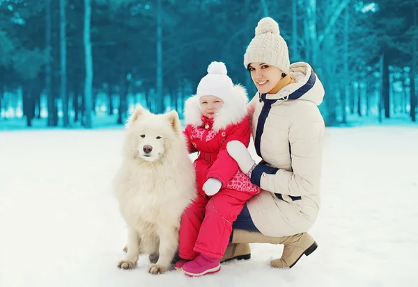 Mother and child with white Samoyed dog in winter day — Stock Photo, Image