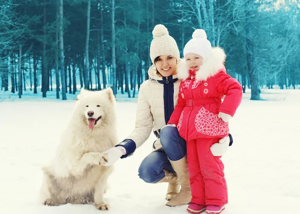 Mother and child with white Samoyed dog in winter — Stock Photo, Image