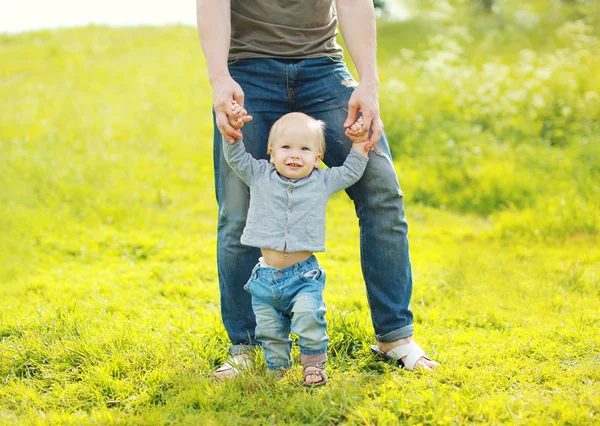 Father holding hands baby walking on grass in summer day — Stock Photo, Image