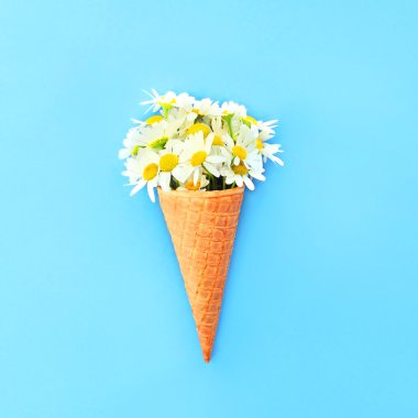 Dondurma külahı mavi renkli backgr üzerinde chamomiles çiçekli