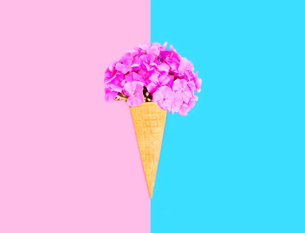 Ice cream cone blommor över rosa blå färgstarka bakgrund topp vi — Stockfoto