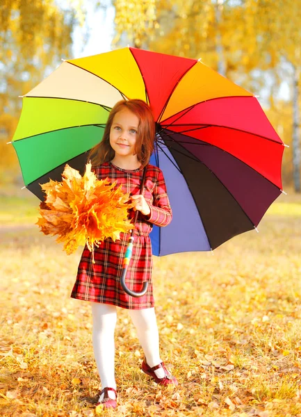 Roztomilá holčička s barevným deštníkem a žlutým javorovým — Stock fotografie