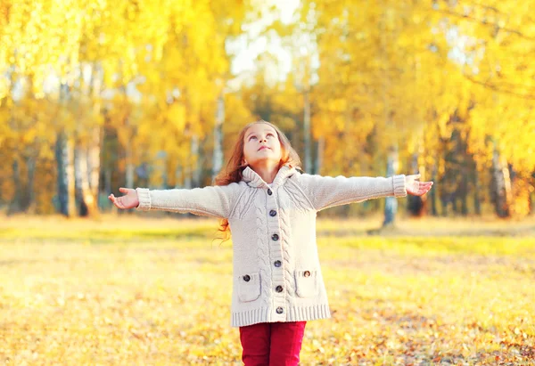 Gelukkig meisje kind geniet warm zonnige herfst dag kijkt omhoog WA — Stockfoto