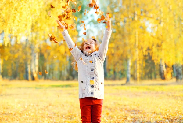Щаслива дитина весело грає з жовтим листям в сонячну осінь — стокове фото