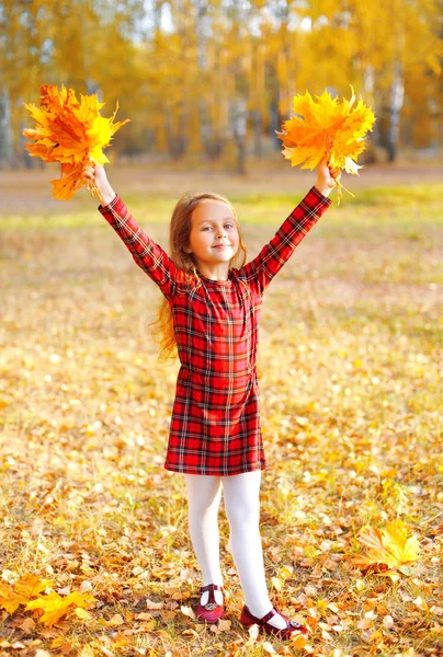 Niña divirtiéndose con hojas de arce amarillo en el soleado au — Foto de Stock