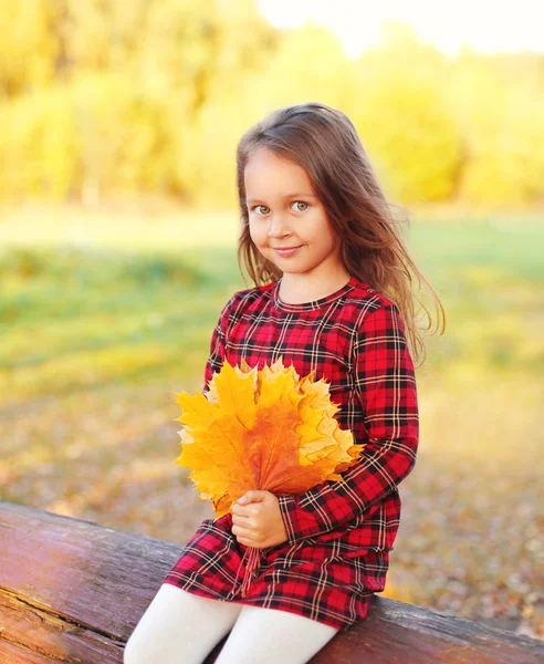 日当たりの良い黄色のカエデの葉を持つ肖像画かわいい女の子 — ストック写真