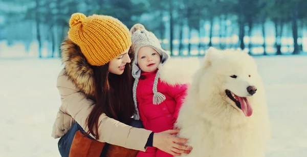 Portrait Happy Mother Child White Samoyed Dog Winter Park — Stock Photo, Image