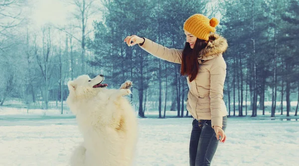 Portrait Happy Smiling Young Woman Owner White Samoyed Dog Winter — Stock Photo, Image