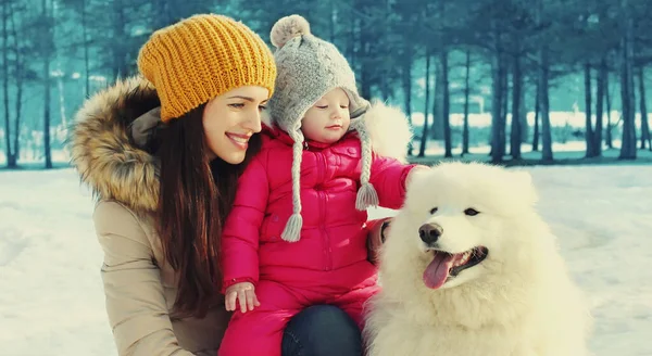 Portrait Happy Mother Child White Samoyed Dog Winter Park — Stock Photo, Image