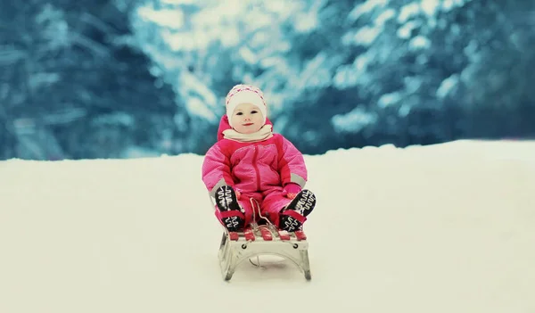 Bambino Piccolo Slittino Giorno Inverno Uno Sfondo Della Foresta — Foto Stock