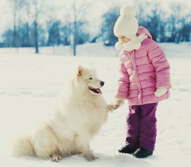 Kış parkında mutlu, gülümseyen bir çocuğun beyaz Samoyed köpeğiyle portresi.