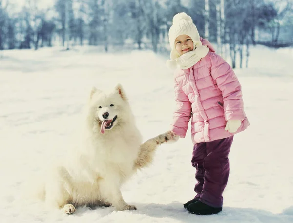 Retrato Criança Sorridente Feliz Com Cão Samoyed Branco Parque Inverno — Fotografia de Stock