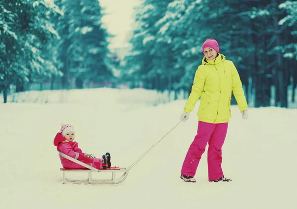 Mor Och Litet Barn Pulka Vintern Över Snöig Skog Bakgrund — Stockfoto