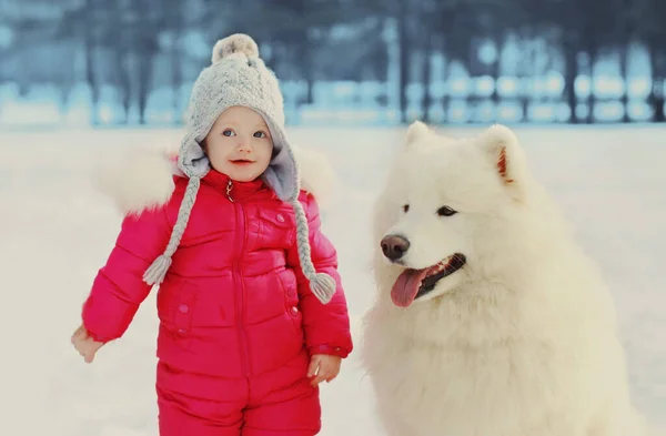 Porträtt Lilla Barn Och Vit Samojad Hund Vinterparken — Stockfoto