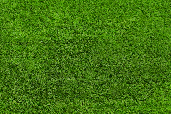 Green Grass Texture Background Nature Abstract Image Blank Copy Space — Stock fotografie