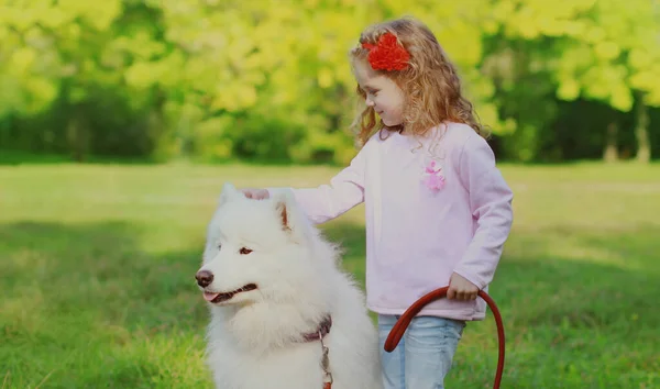 Liten Flicka Barn Och Vit Samojed Hund Tillsammans Ett Gräs — Stockfoto