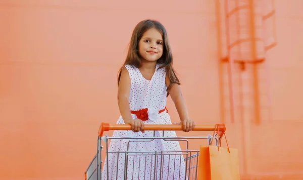 Klein Meisje Kind Met Trolley Kar Een Winkelcentrum Achtergrond — Stockfoto