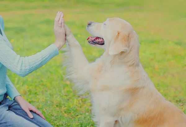 ゴールデンレトリバー犬与え足へ手高5所有者女性上の草の訓練で公園 — ストック写真