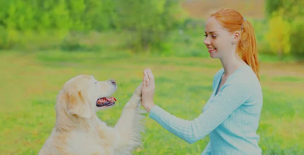 Golden Retriever Hund Übergibt Pfote Fünfjährige Besitzerin Beim Rasentraining Park — Stockfoto