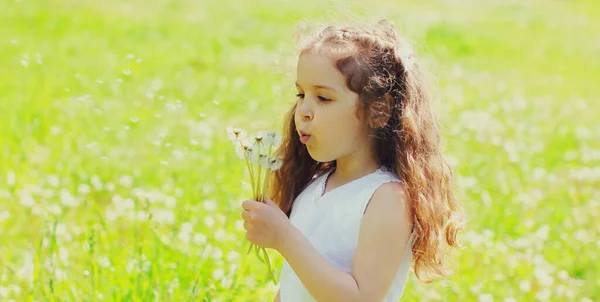 Küçük Kız Çocuğunun Portresi Baharın Güneşli Çayırlarında Karahindiba Çiçekleri Üflüyor — Stok fotoğraf