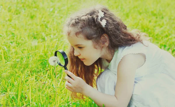 Çocuk Yaz Günü Çimlerin Üzerinde Büyüteçten Bakıyor — Stok fotoğraf