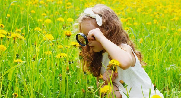 夏の日に草の上の虫眼鏡を通して見ている子供 — ストック写真