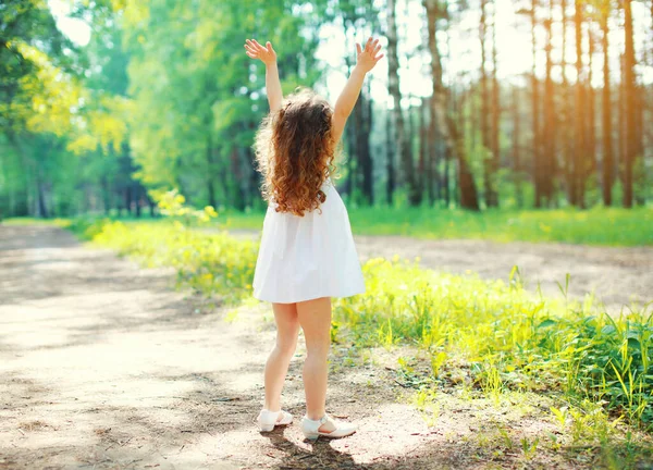 バックビュー幸せな女の子子供あります楽しいです上げて彼女の手アップで日当たりの良い夏の日 — ストック写真