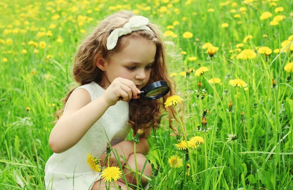 Çocuk Yaz Günü Çimlerin Üzerinde Büyüteçten Bakıyor — Stok fotoğraf