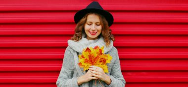 Sarı akçaağaç yapraklı mutlu genç bir kadının sonbahar portresi siyah yuvarlak bir şapka takıyor, kırmızı arka planda gri örülü bir süveter giyiyor.