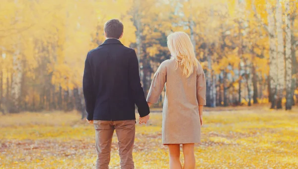 Silueta Trasera Feliz Pareja Joven Juntos Tomados Mano Caminando Cálido —  Fotos de Stock